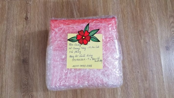 đồng hồ chính hãng OP2466DLK-T