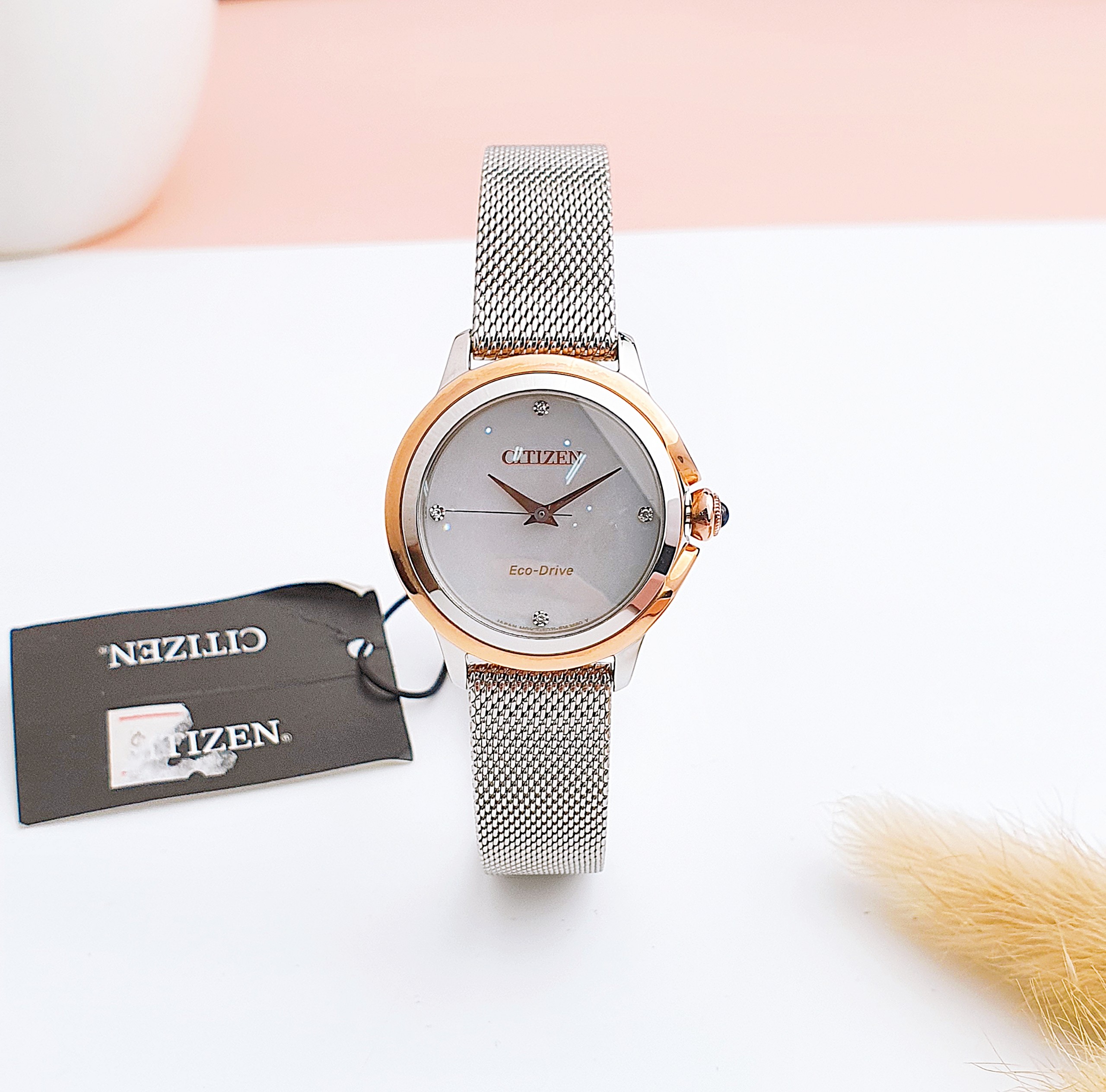 EM0796-59Y (1) Đồng hồ nữ CITIZEN EM0796-59Y